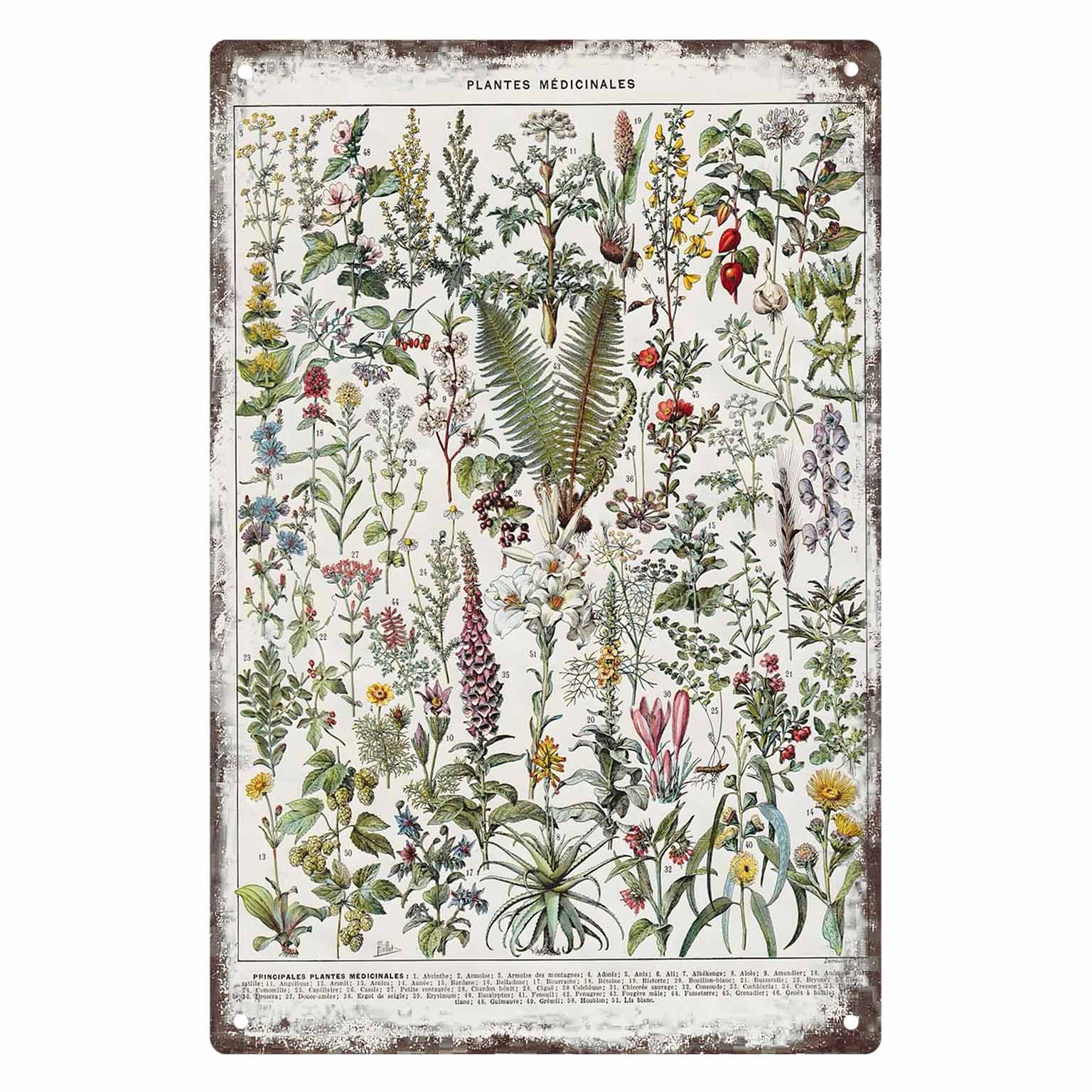 Home Office With Plants - 2D PŁASKI 1 szt. Vintage Plakat
