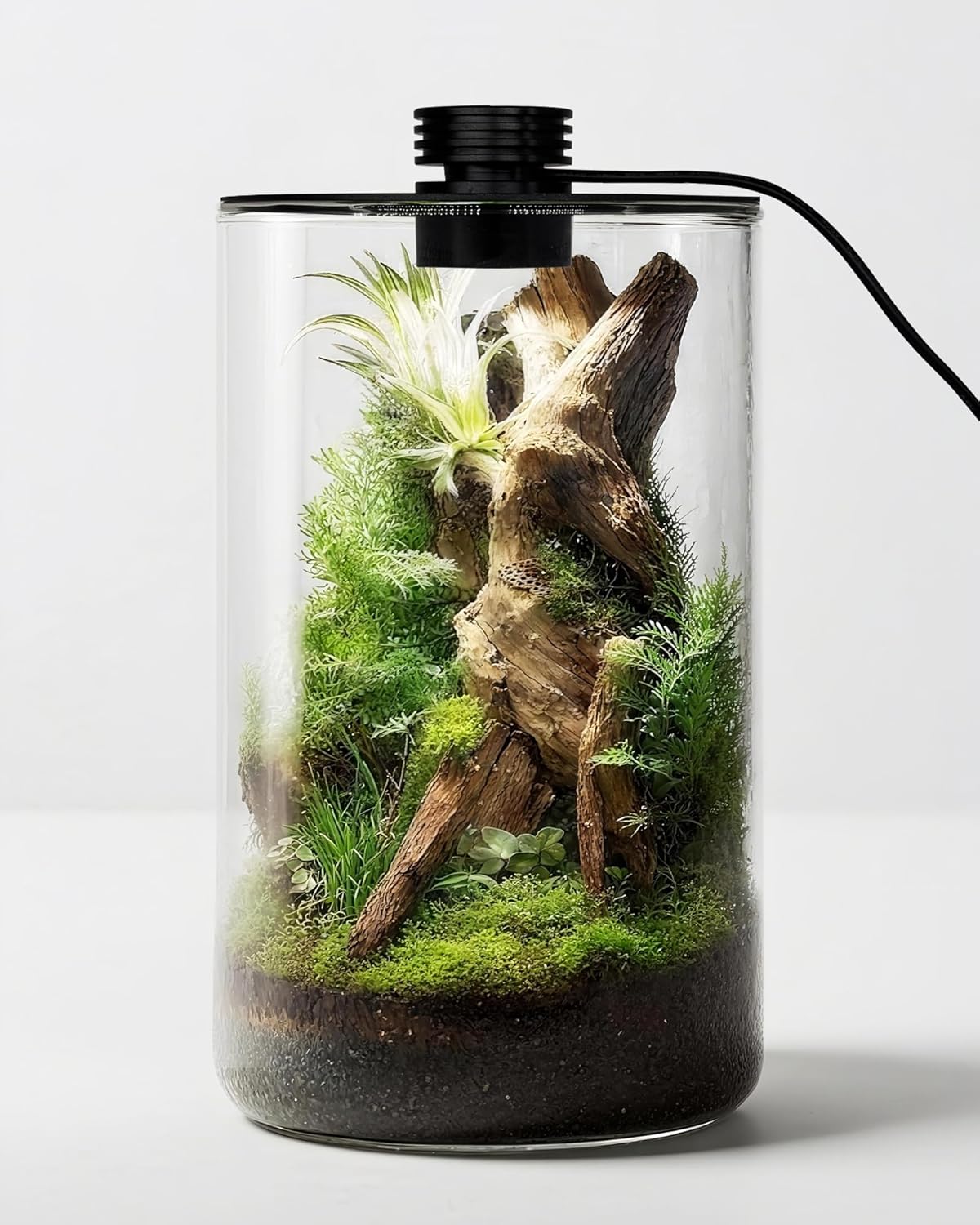 Home Office With Plants - Szklane terrarium wewnętrzne z lampą do