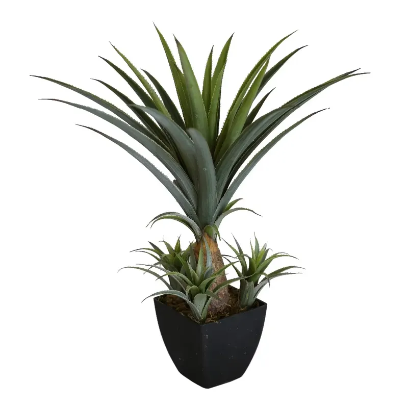 Nowy Design Sztuczna Agawa do  – Home Office With Plants recenzja i cena
