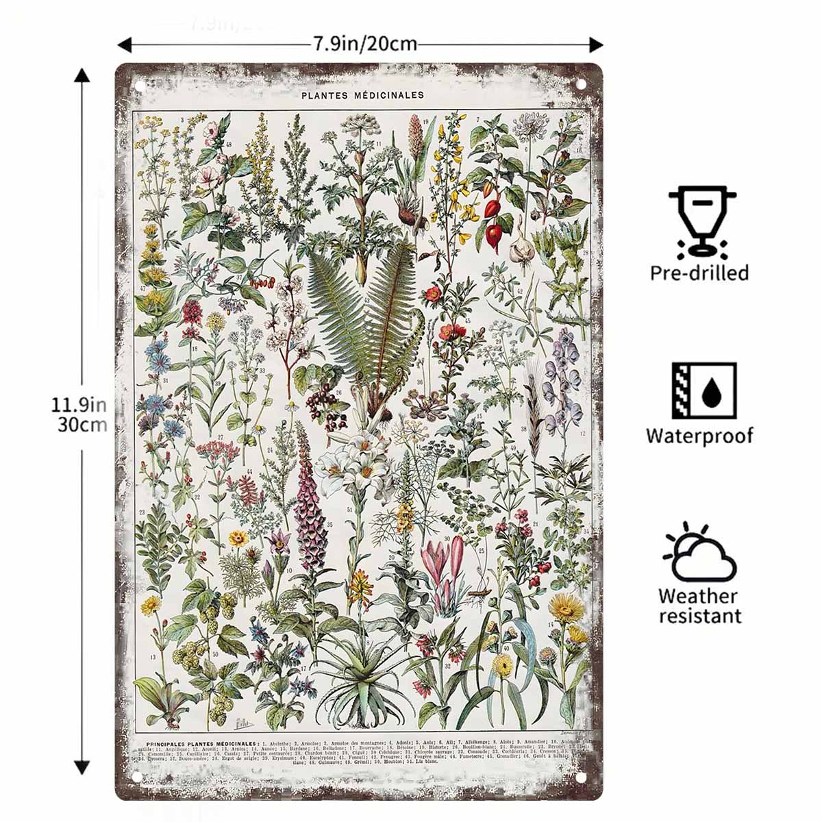 2D PŁASKI 1 szt. Vintage Plaka – Home Office With Plants recenzja i cena