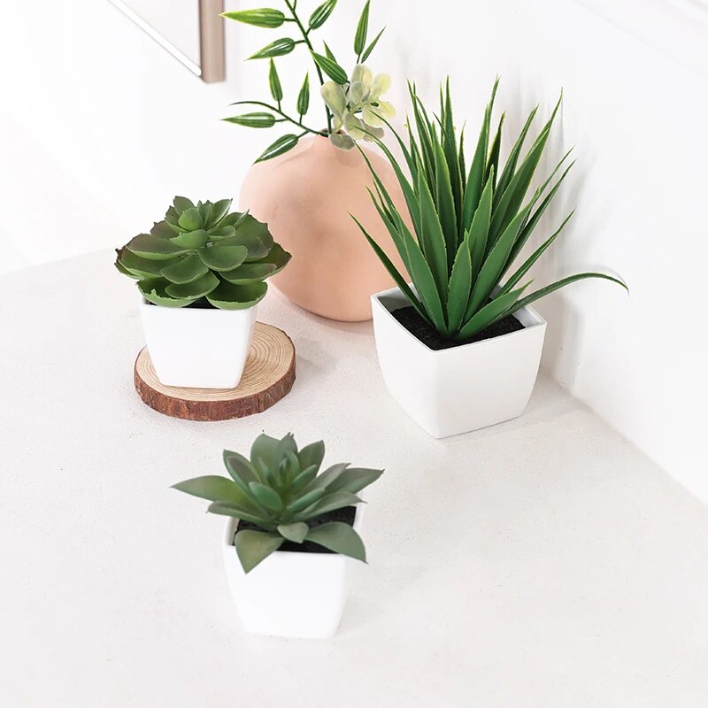 3 szt. Sztuczna Evergreen Plan – Home Office Word recenzja i cena