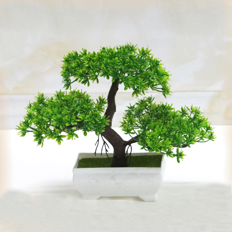 Sztuczne Bonsai Plastikowe Bio – Home Office Word recenzja i cena