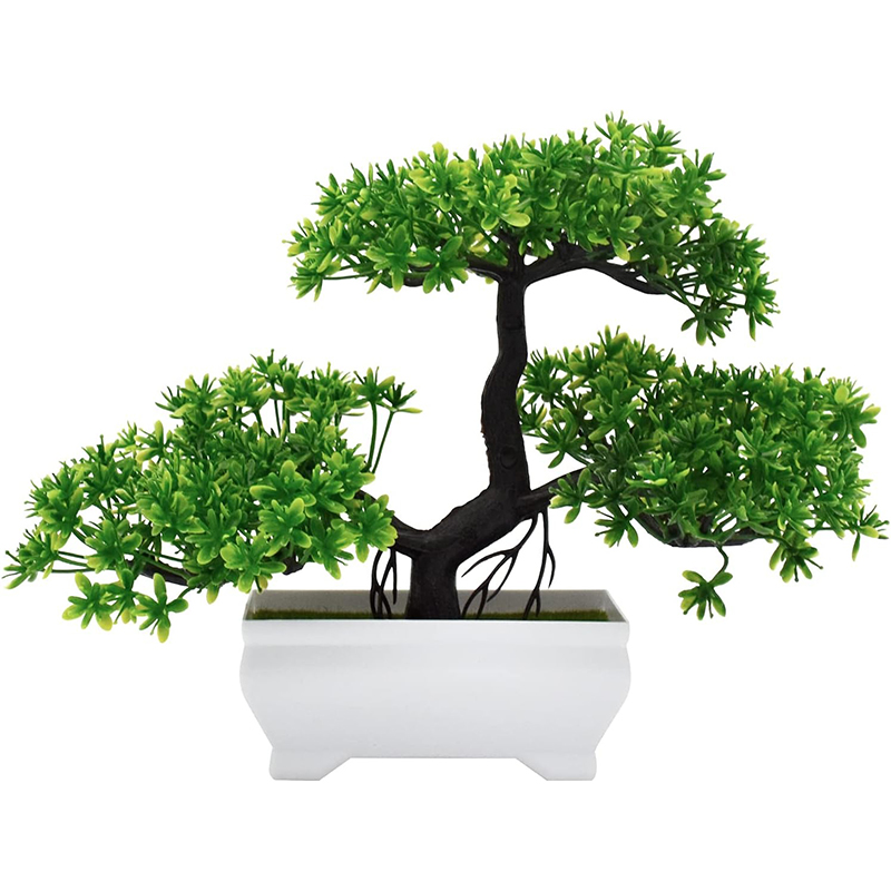 Sztuczne Bonsai Plastikowe Bio – Home Office Word recenzja i cena