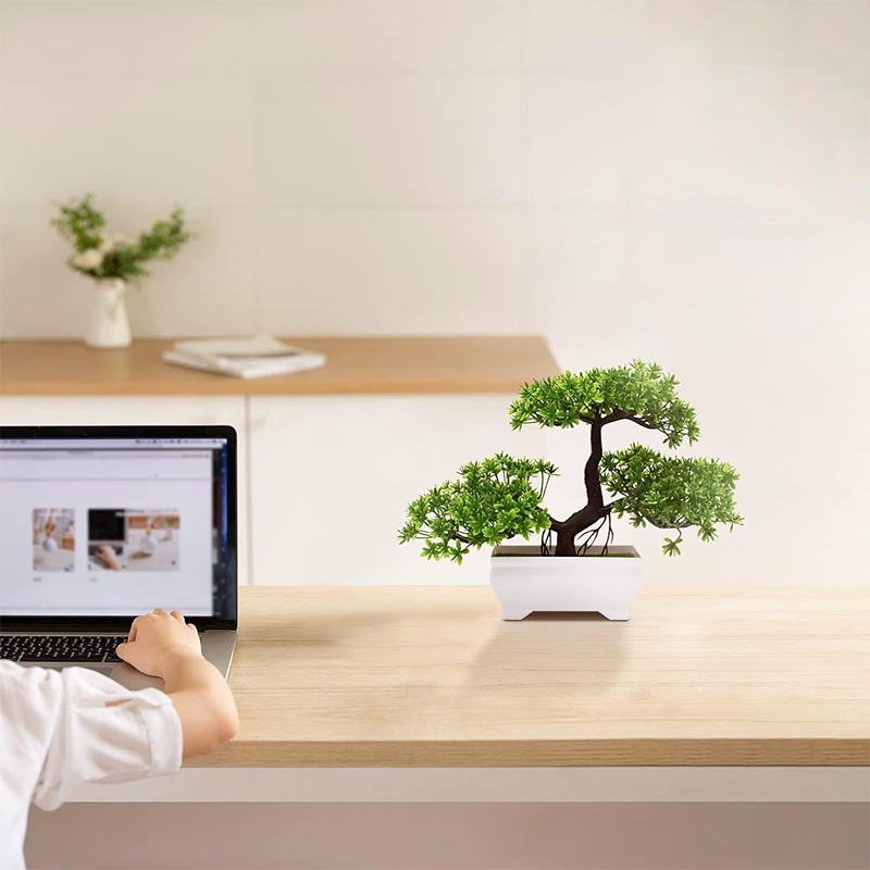 Sztuczne Bonsai Plastikowe Bio – Home Office Word recenzja i cena