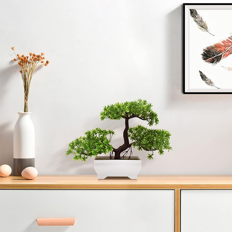 Sztuczne Bonsai Plastikowe Bio – Home Office Word recenzja i cena