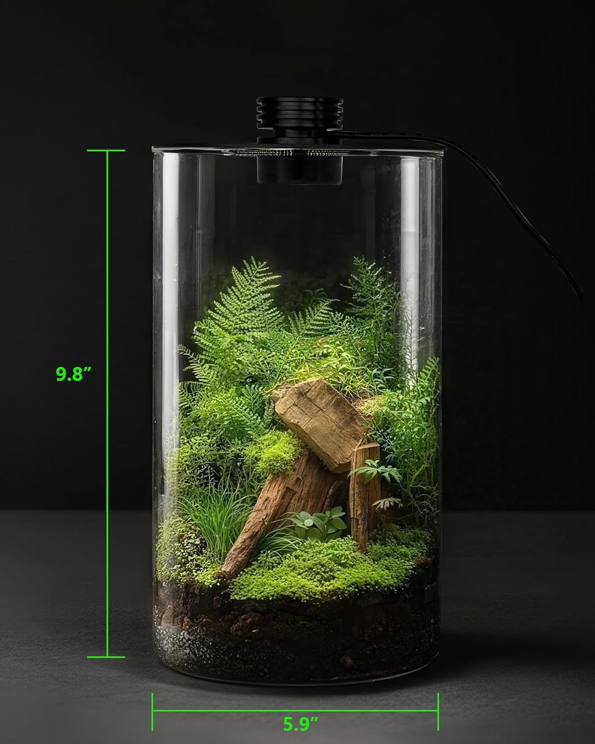 Szklane terrarium wewnętrzne z – Home Office With Plants recenzja i cena