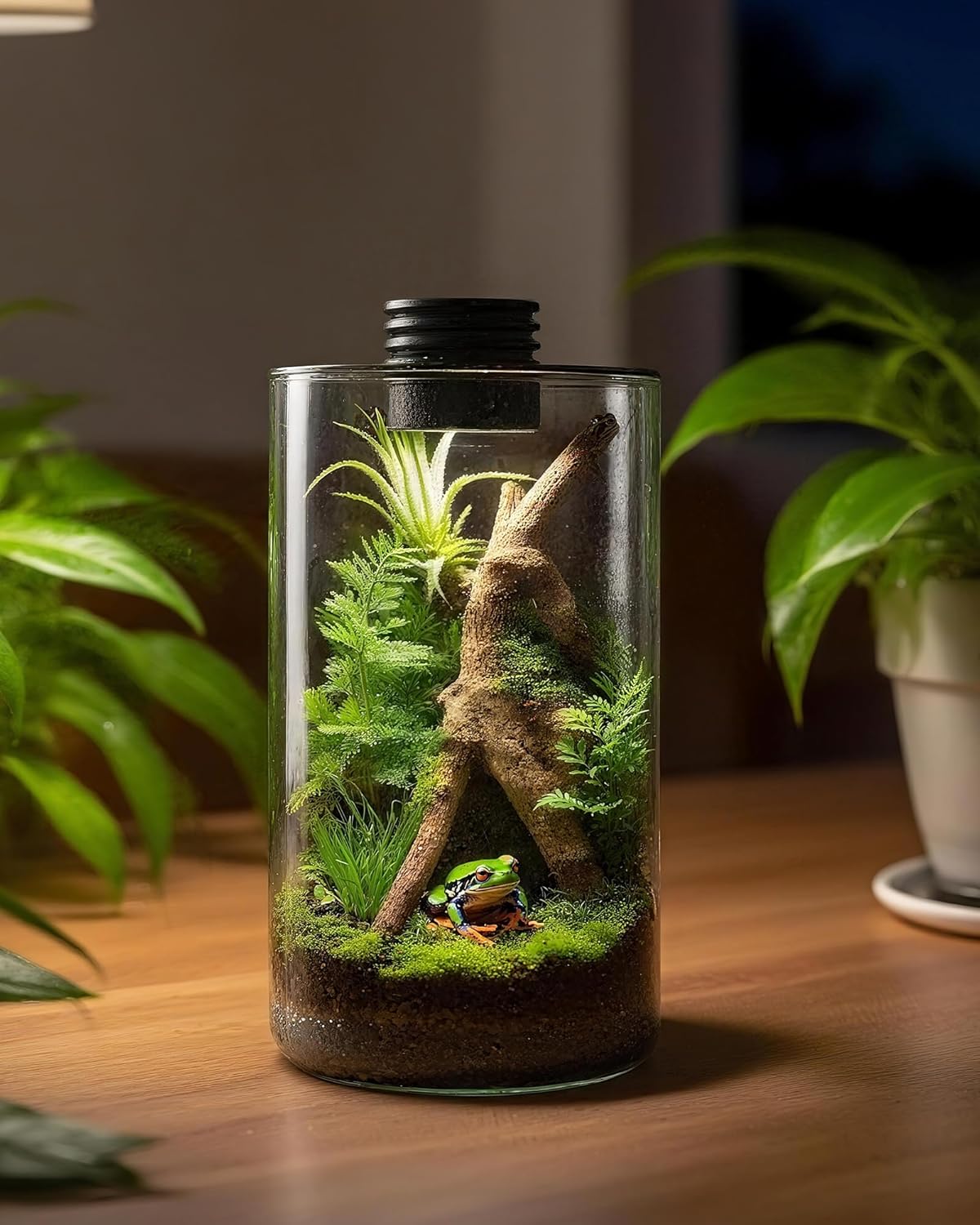 Szklane terrarium wewnętrzne z – Home Office With Plants recenzja i cena